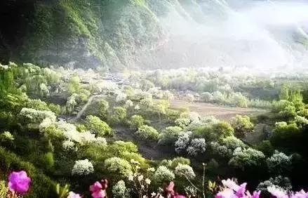 莫负春光辽宁赏花踏青攻略来了,辽宁最美十大花海