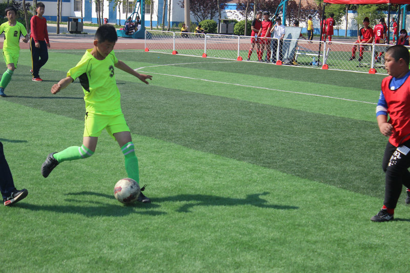 青春如火超越自我拔河比赛,青春如火超越自我全力以赴