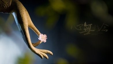 一方一净土一笑一尘缘一念一清净,一方一净土一叶一菩提