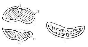 纺织纤维衣服好不好,纺织纤维的衣服质量怎么样