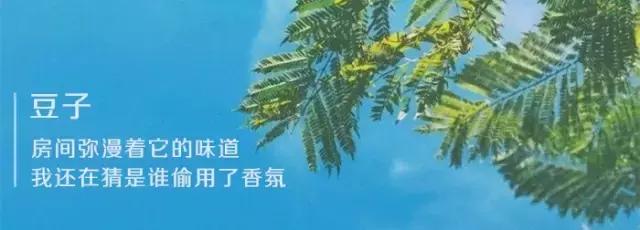 适合夏天种草的沐浴露,仙女必备的真花瓣沐浴露