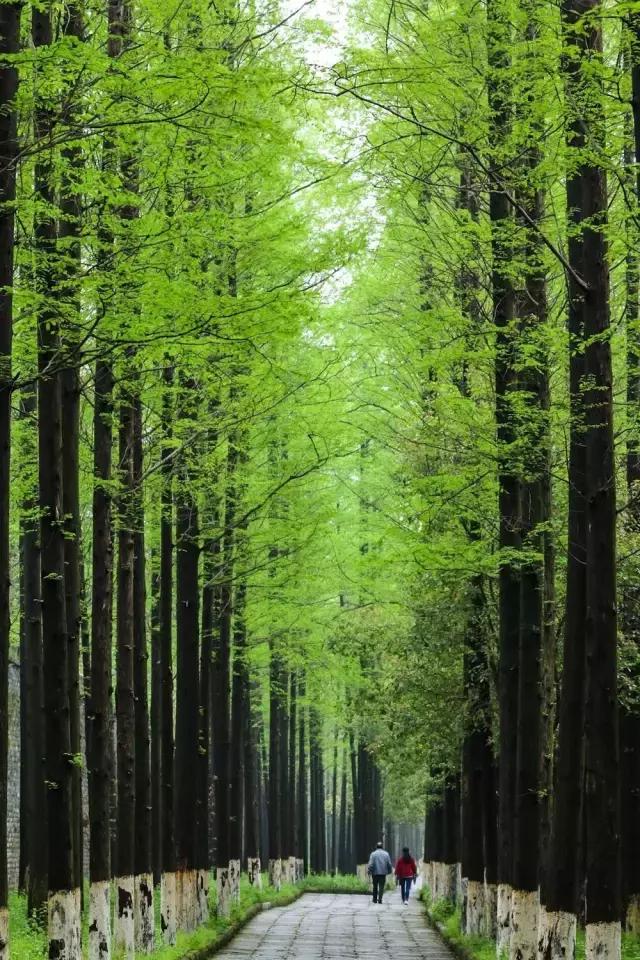 4月照片,4月的照片大全