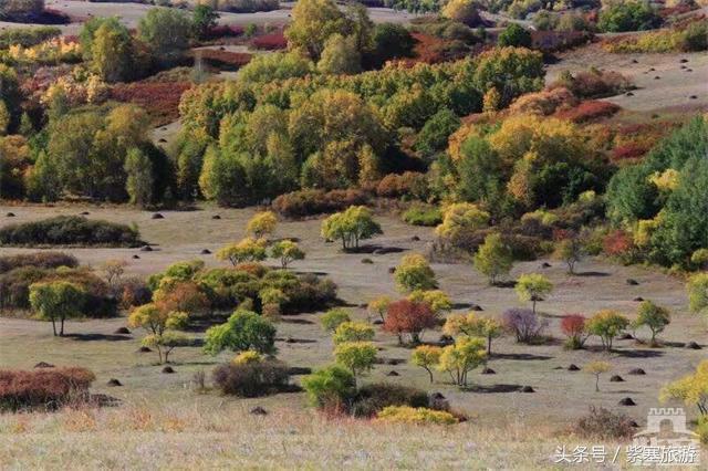 承德兴隆紫塞明珠农家院,围场滦久农家院
