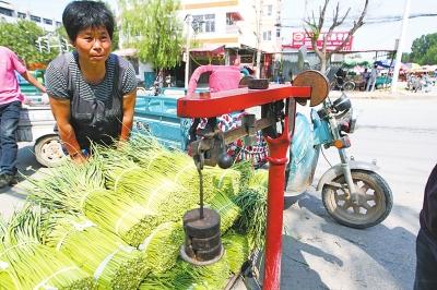 今天各地蒜薹价格多少钱1斤,山东蒜薹价格最新行情走势图