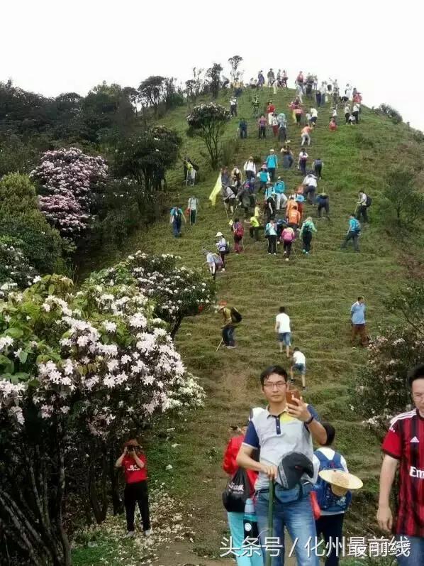 信宜旅游景点大全自驾游,信宜十大旅游景点大全