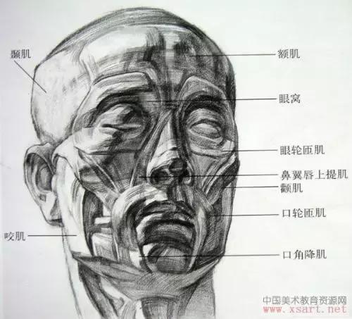 蔡海晨素描零基础入门系列教程,手把手教你从零基础开始学素描