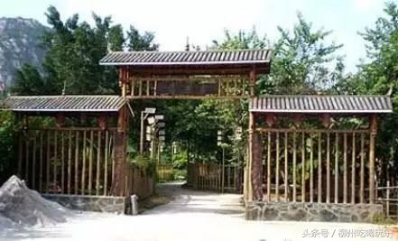 摘杨梅一键成片,杨梅采摘园柳州