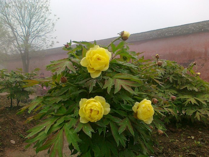 闽侯雪峰寺旅游路线图,福州雪峰寺周边景区介绍