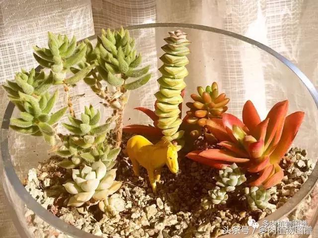 入坑半年的经历,入坑五个月总结