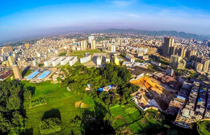 广西博白县桂圆柚之乡,广西博白桂圆2023批发价格