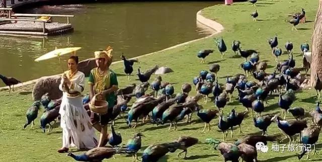 景洪泼水节注意事项,西双版纳泼水节如何不被泼