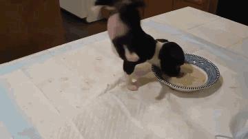 妹子被小龙虾夹,妹子被螃蟹夹了