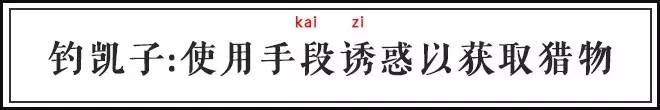 “马子”原意竟是马桶,“凯子”的意思是傻子?