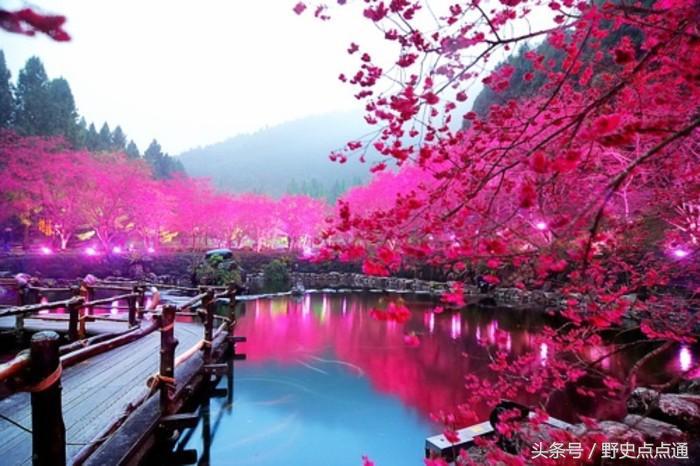 日本有个中国省吗,日本有多少个地方是亚洲地区