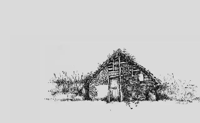 插画师迷狸:路过,停留