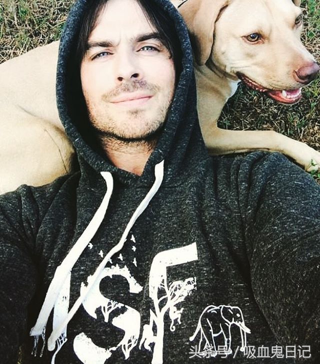 吸血鬼日记中达蒙是谁演的,吸血鬼日记男主角达蒙个人资料