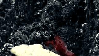 还敢骑皮皮虾？虾表示我们不是好惹的！