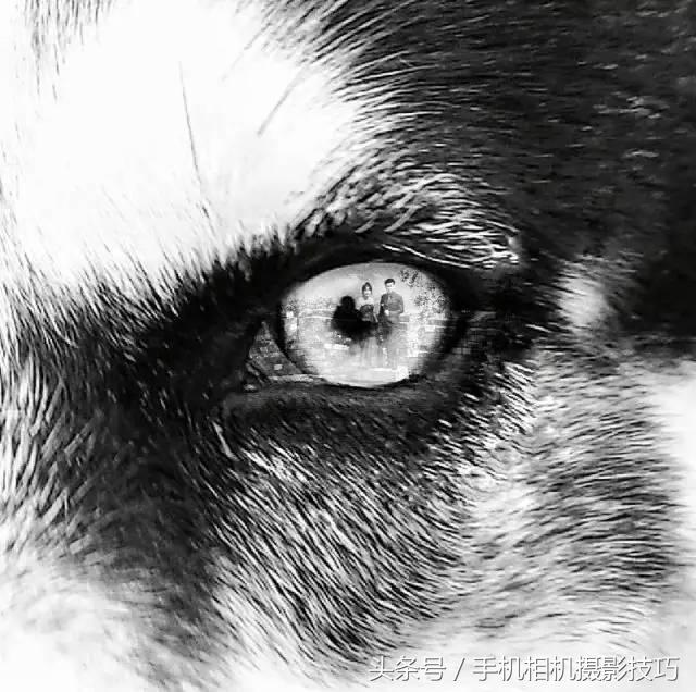 拍照如何让人像好看及其原理,拍照怎么让人物有立体感