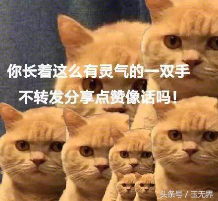 从事玉石加工行业的真相:看似光鲜亮丽,实则苦逼无比