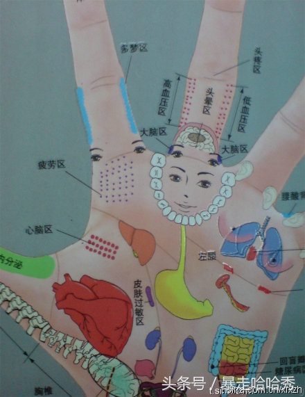 一些神奇的常识,你知道这些神奇的冷知识吗