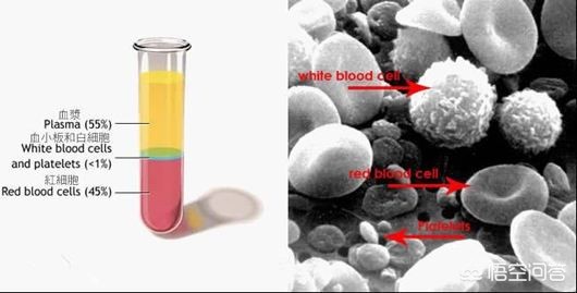 膝关节痛上下楼梯痛教你一招缓解,走平路时膝关节疼痛是什么原因