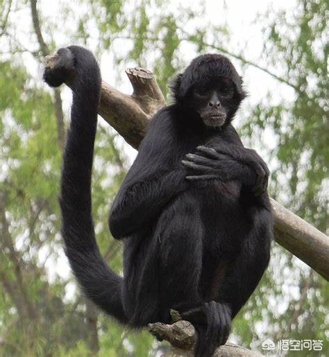 手心为什么总是会出汗,手心容易出汗是阴虚还是阳虚