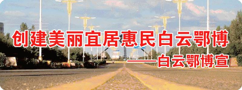 白云往事后续,白云往事老照片