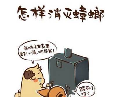 对付小强最有效方法,家庭消灭小强妙招