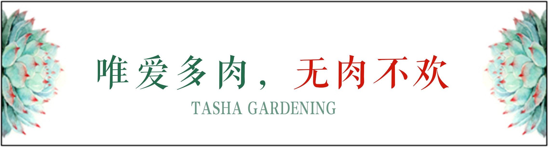 桃美人多肉叶片化水,多肉叶片化水及解决办法