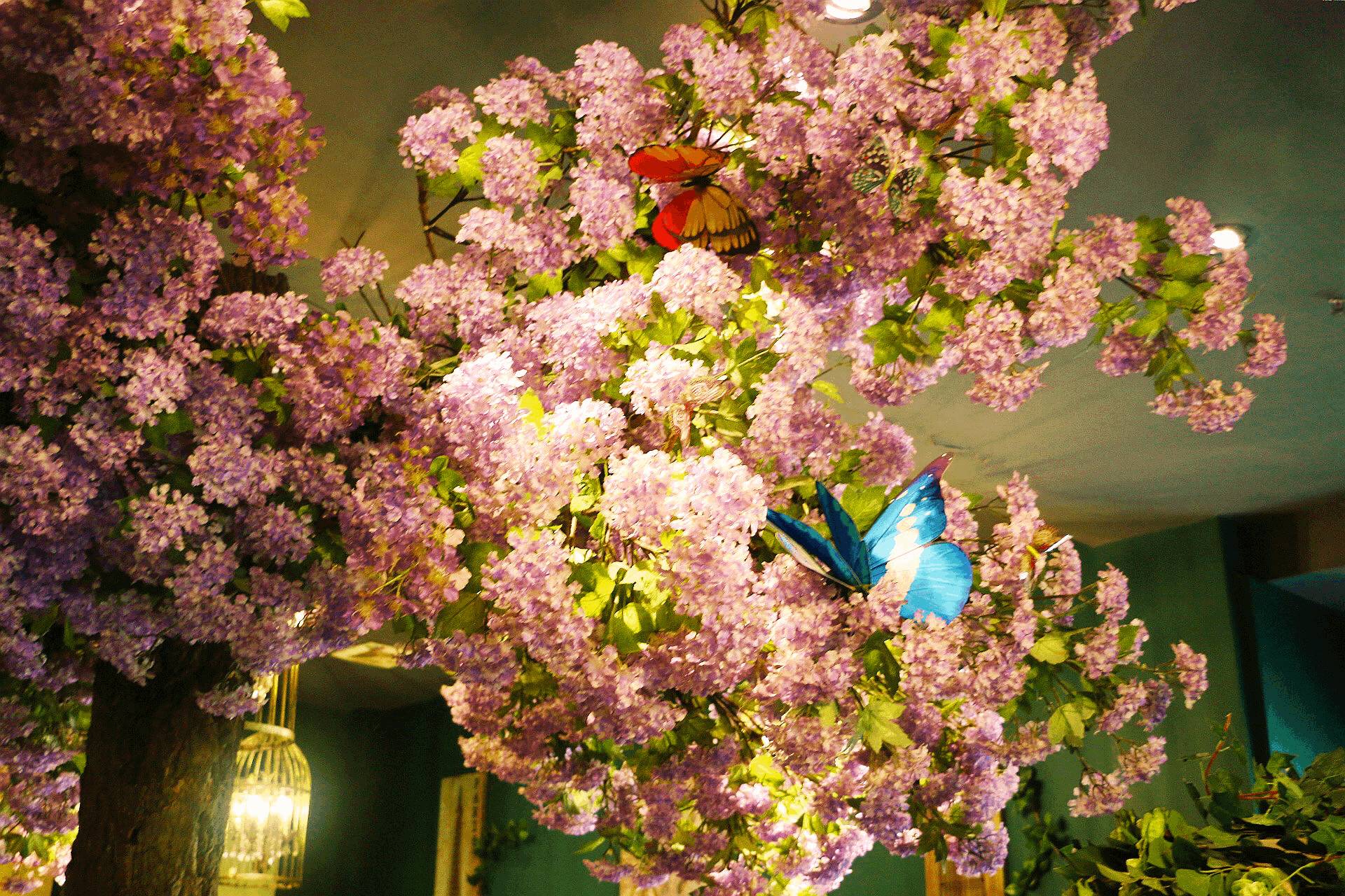 一不小心美成自拍圣地！说这是吃火锅的谁信？