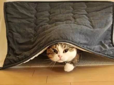 对10年后自己的样子负责！30岁上下的你请注意这些