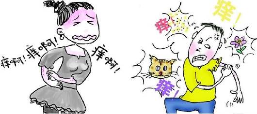 健康之路中医治痛有妙招,健康之路小经方大智慧