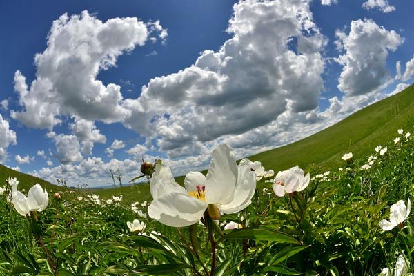 绔崍鑺傛父鐜╁ぉ楣呮箹娌欐哗,绔崍鑺傚ぉ楣呮箹鍥剧墖