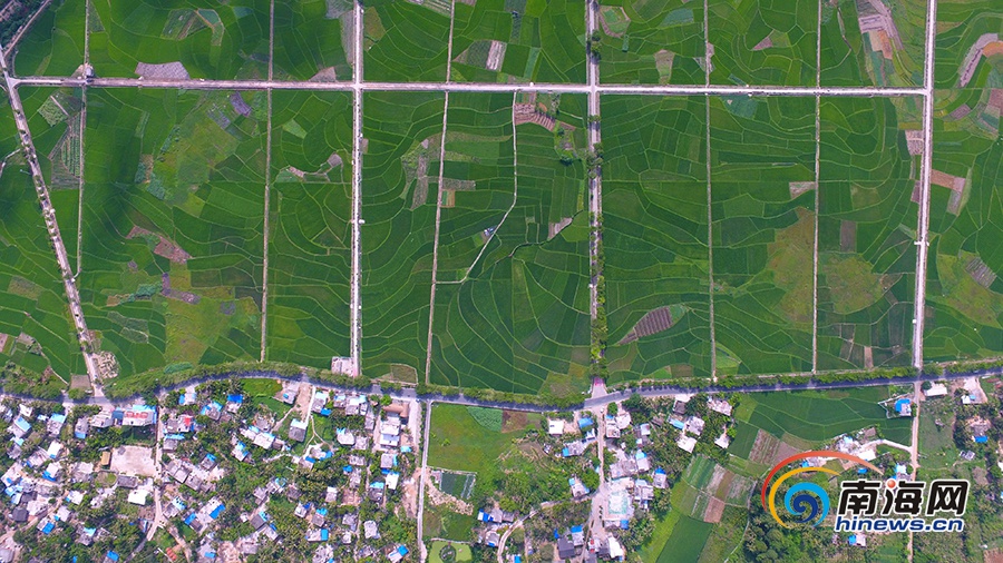 三亚文门村简介,三亚千年古寨文门村