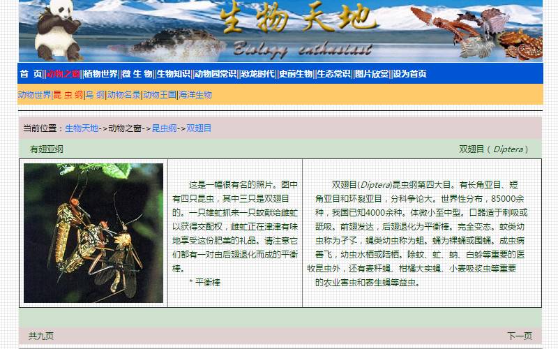 学习昆虫知识的网站,免费学习有趣的昆虫知识