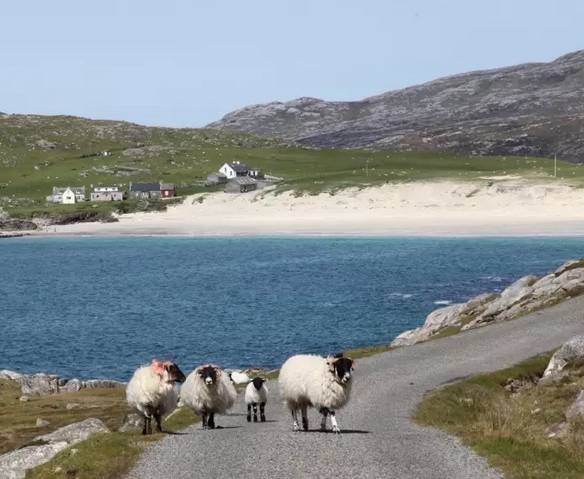 五一小众沙滩,适合五一出游的海边