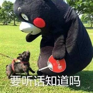 厦门网约车新规公布,在厦门网约车第一次运管罚多少