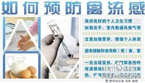 南汇h7n9禽流感最新消息,有关h7n9禽流感的报道