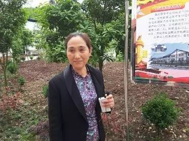 散文花开,散文花开花落