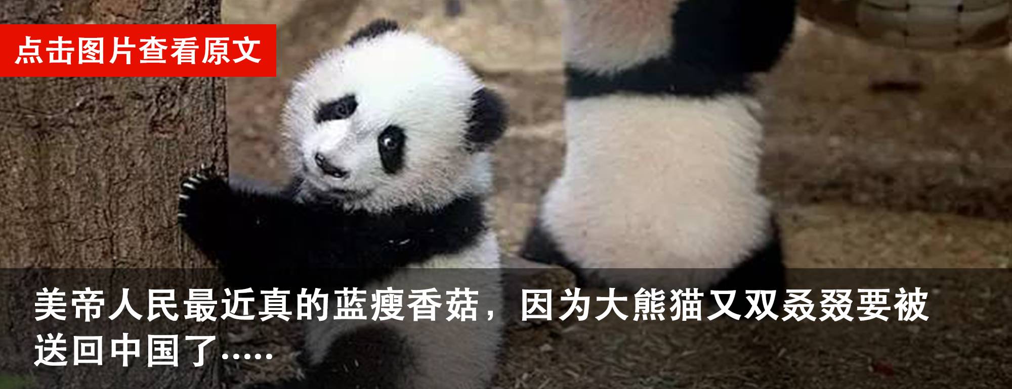 如何把英语口语练好,如何能将英语口语练得游刃有余