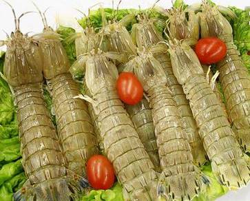 哈尔滨吃货，这8种你爱吃的海鲜全面禁售，活的冰鲜的统统不能卖