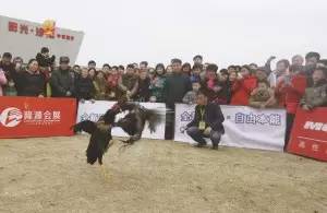 舞动南阳舞蹈完整版,舞动南阳原唱完整版