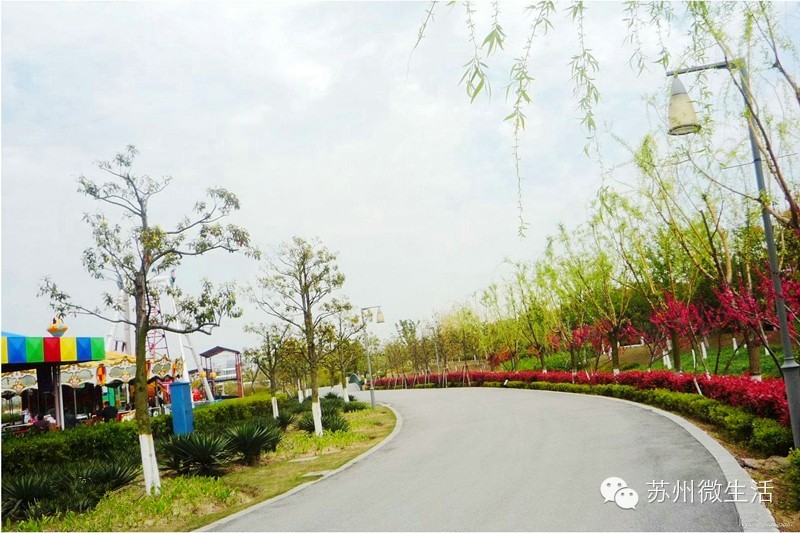 苏州最值得去的五个景点,苏州最值得去的10个景点排名