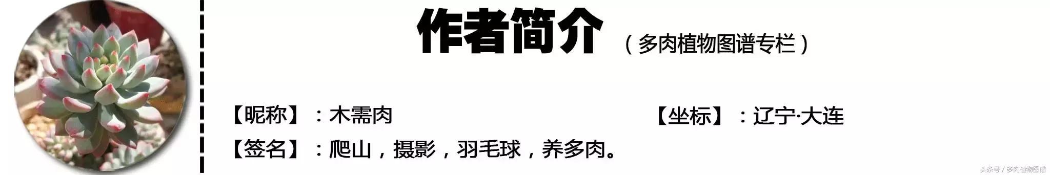 入坑半年的经历,入坑五个月总结