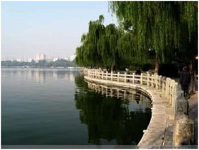 天上掉下个林妹妹黄梅戏,天上掉下个林妹妹电影在线观看