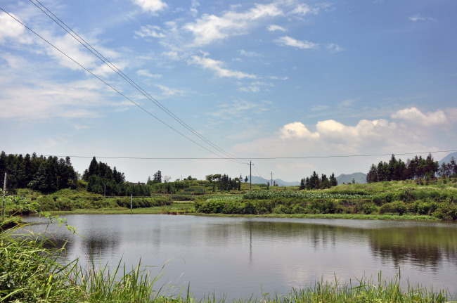 户外钓获最大鲫鱼,野钓擒获一尾九斤大鲫鱼