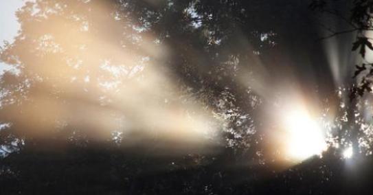 光是波，还是粒子？它是瞬间的，还是有某个速度？