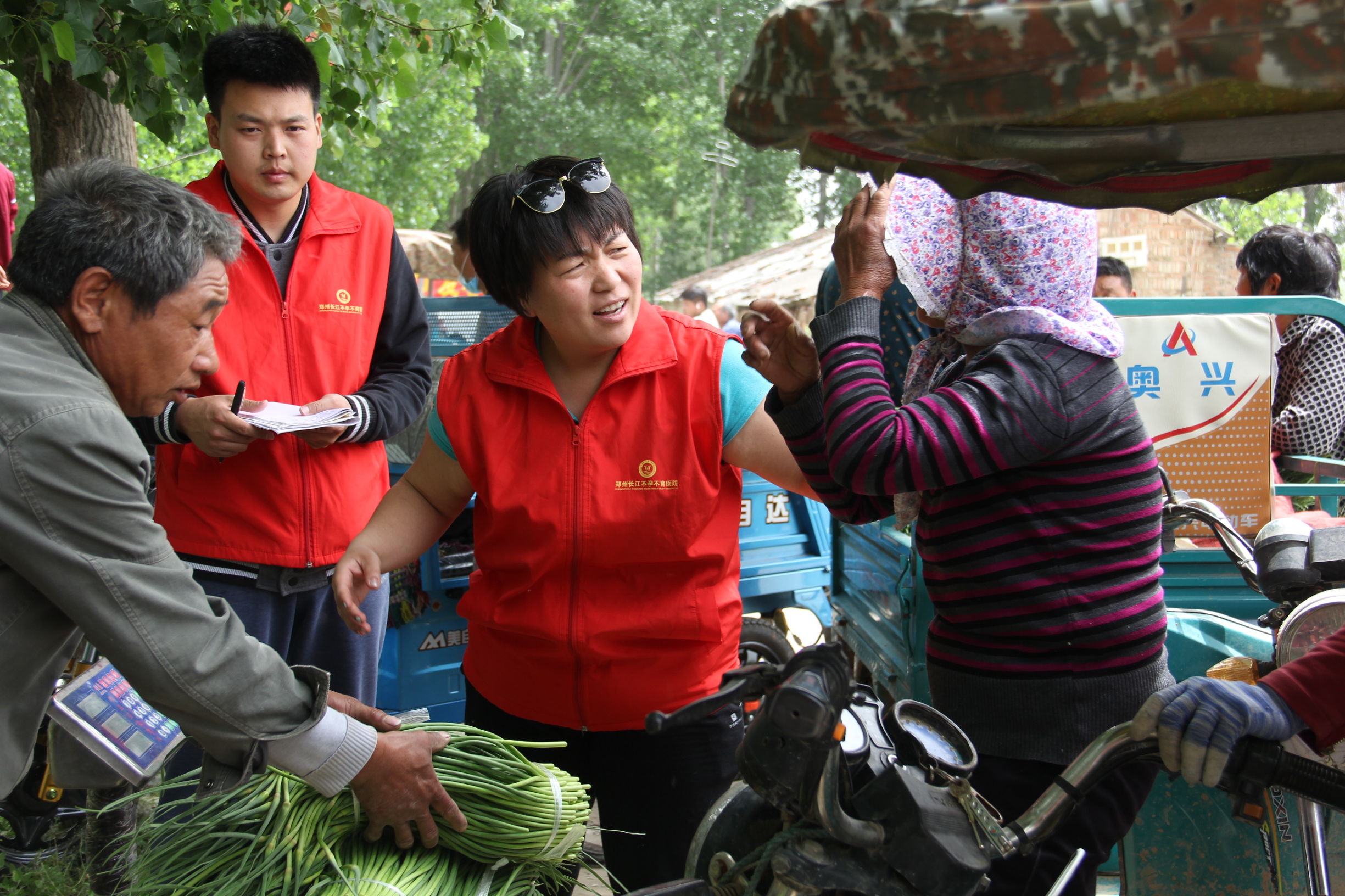 河南蒜薹最新消息,河南蒜薹滞销
