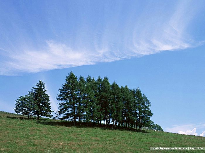 静电鱼一周星座运势,静电鱼运势
