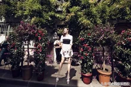 张嘉倪杨幂合影,杨幂张嘉倪近况